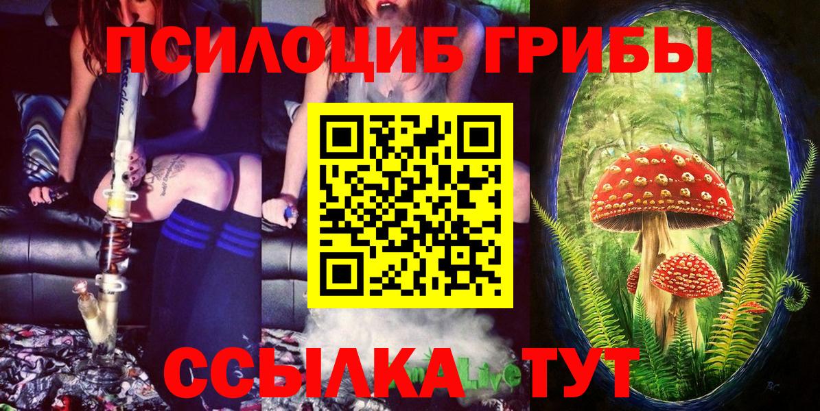 Псилоцибиновые грибы мухоморы Менделеевск